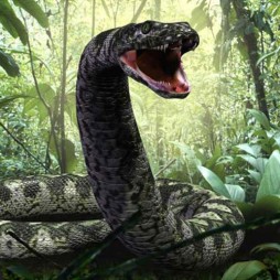 titanoboa vs deinosuchus