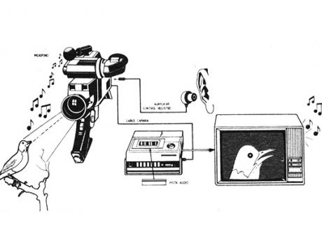 Icon of bird being recorded and played through a television monitor