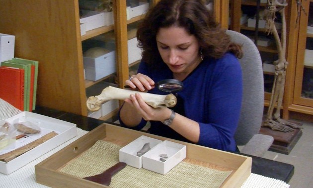 Briana Pobiner studies the bones of many different species of early humans, including Neanderthals, as part of the Smithsonian’s Human Origins Program. (credit: Smithsonian)