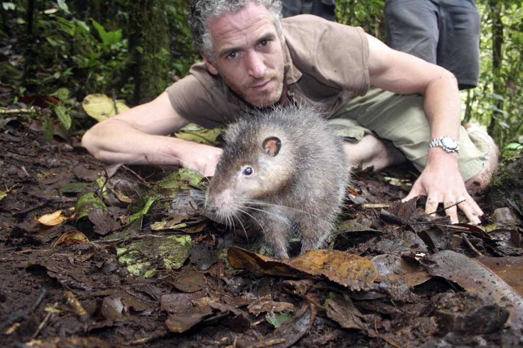 man next to woolly rat