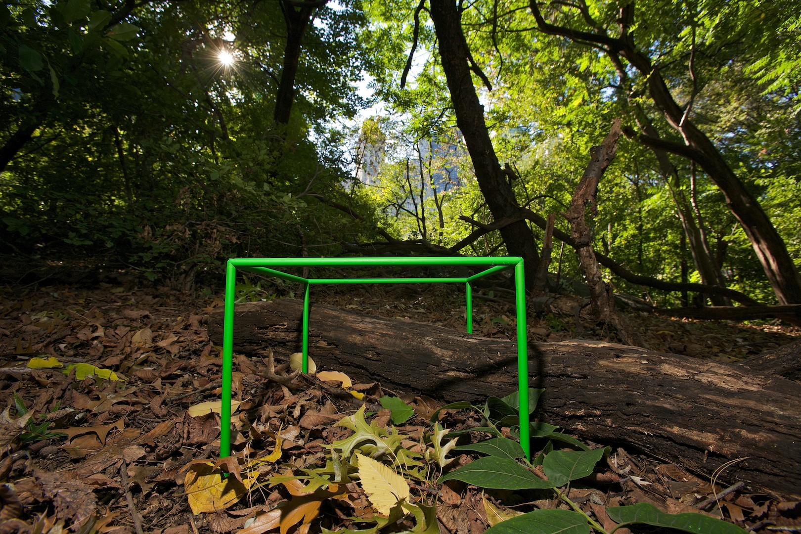 A hallow cube with green edges sits in a wooded park