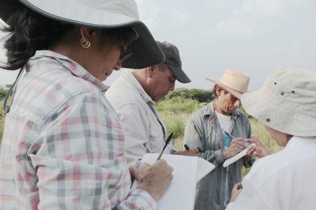 taking notes in the field