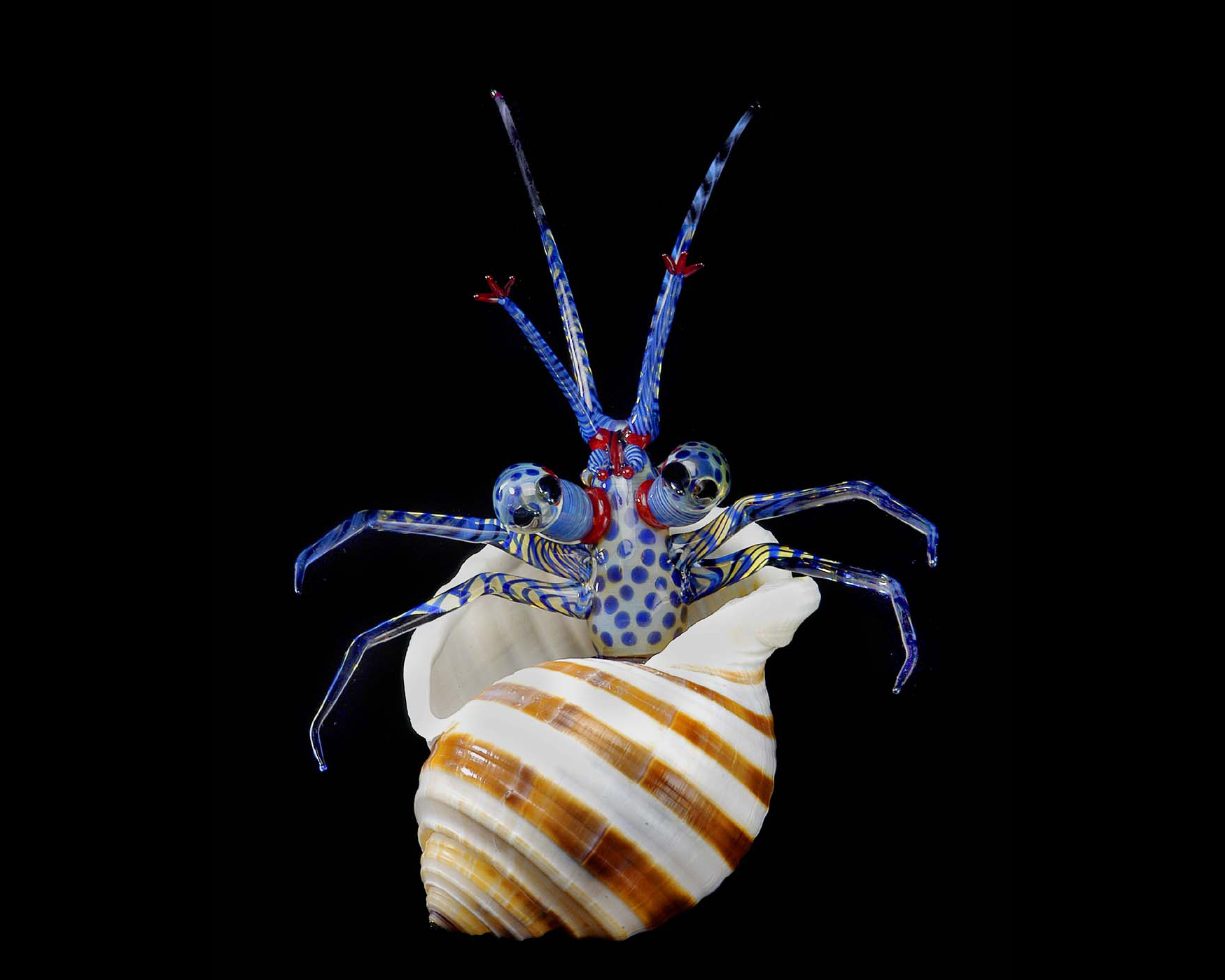 Glass sculpture of a blue hermit crab emerging from a brown and white striped shell.