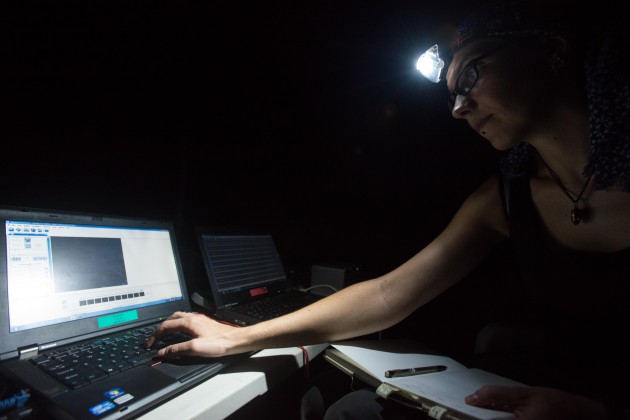 Inga Geipel recording bat calls (Photo: Sean Mattson)