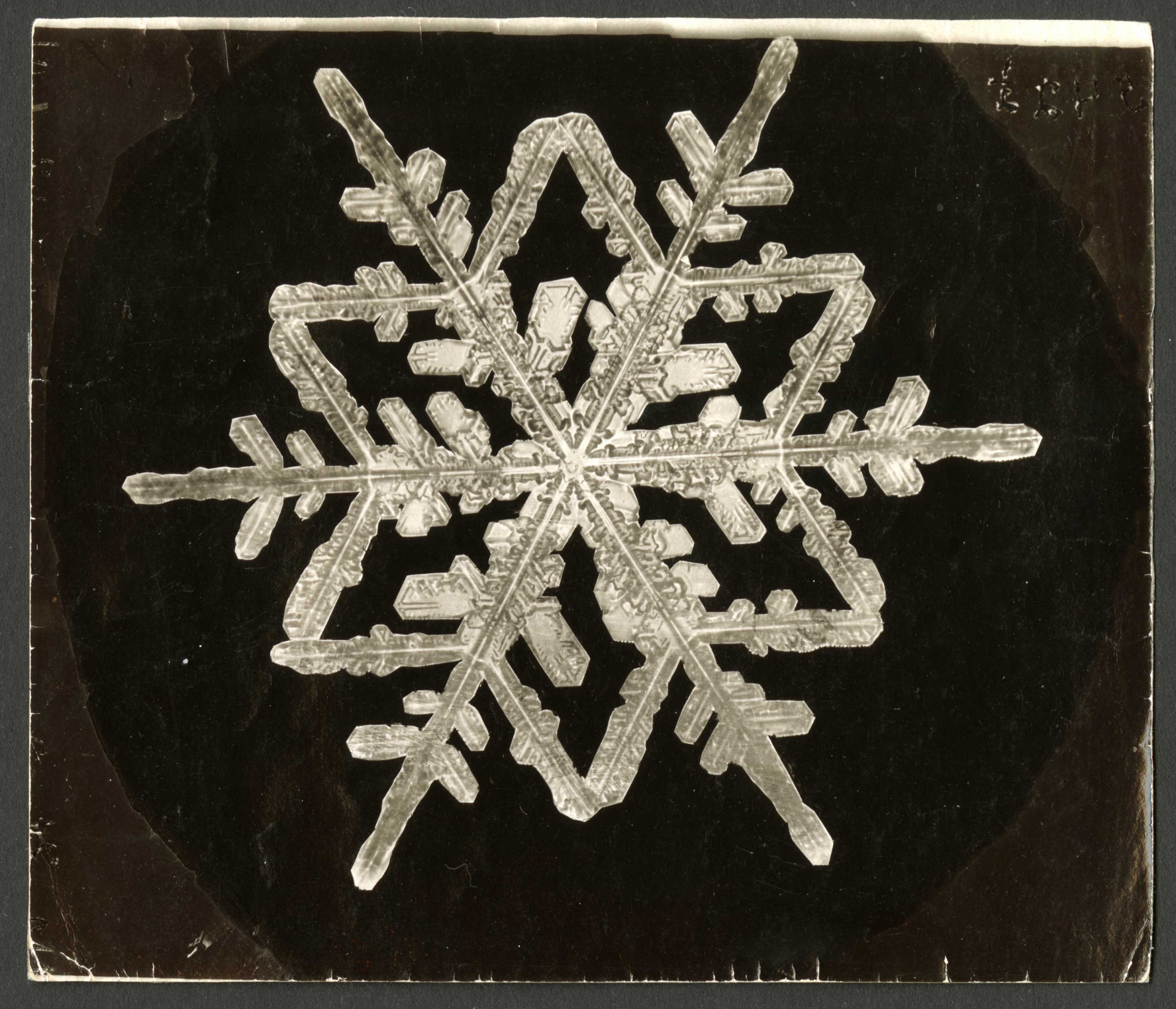 Snowflake with thin spikes