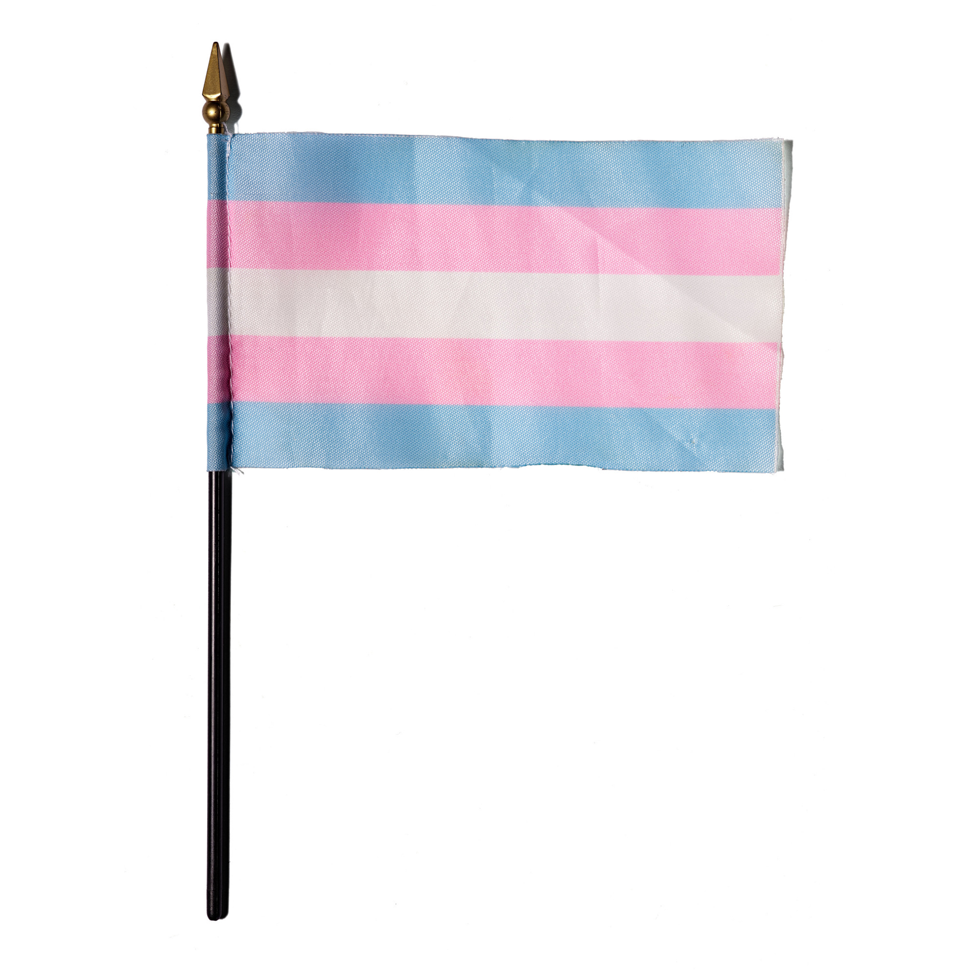 Who designed the transgender flag?