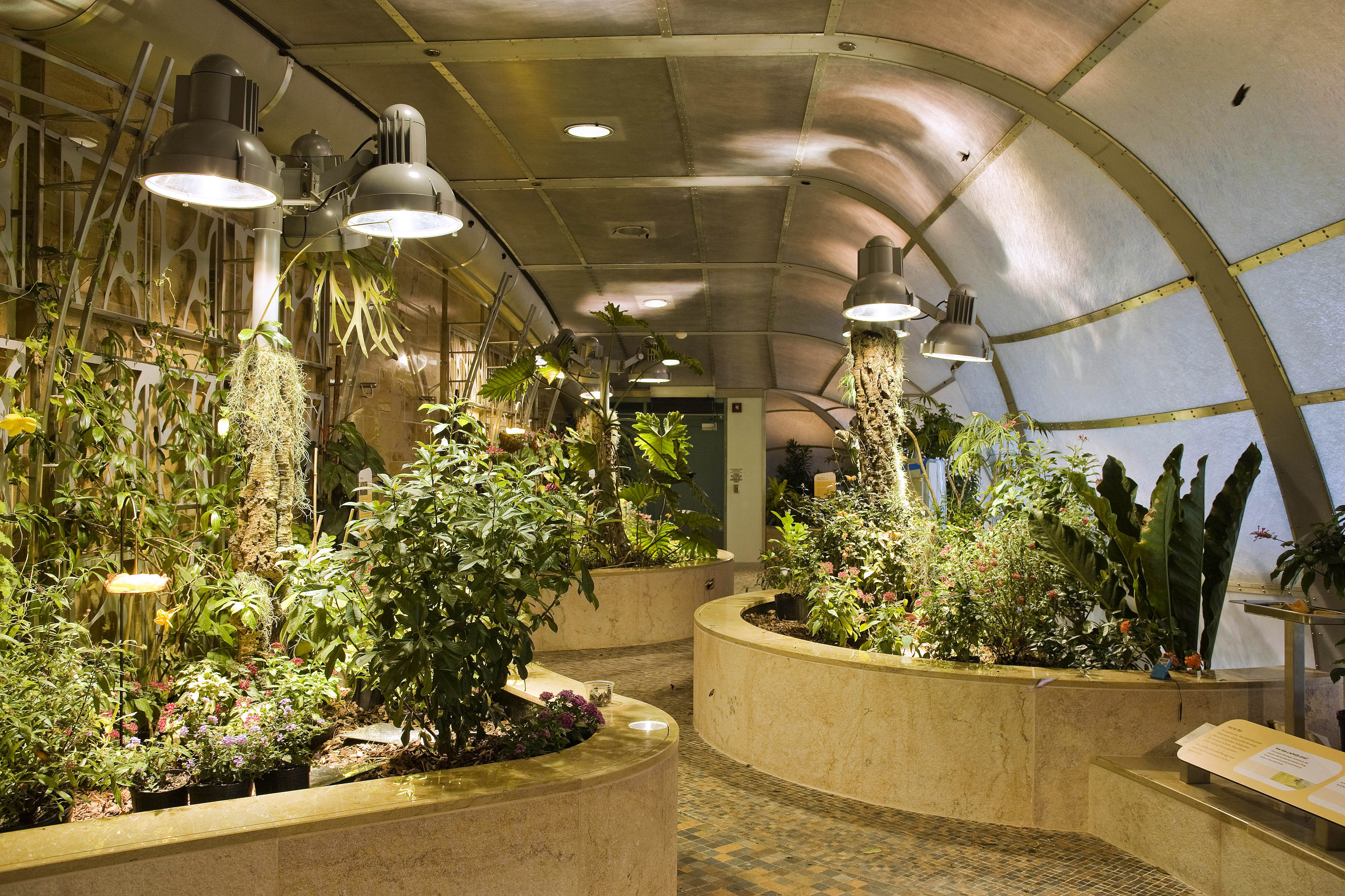 Butterfly Pavilion Smithsonian Institution