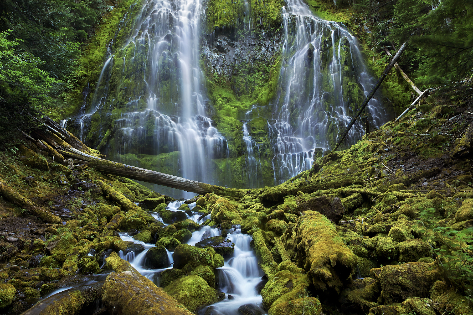 Washington Wild Celebrating the 39th Anniversary of the Washington  Wilderness Act - Washington Wild