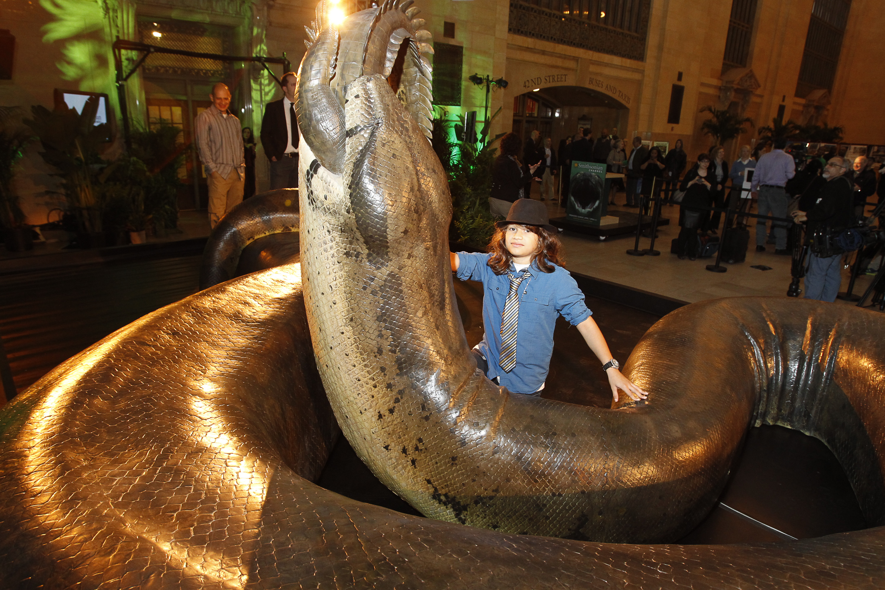 Biggest Snake Ever to be Displayed at Smithsonian Smithsonian Institution