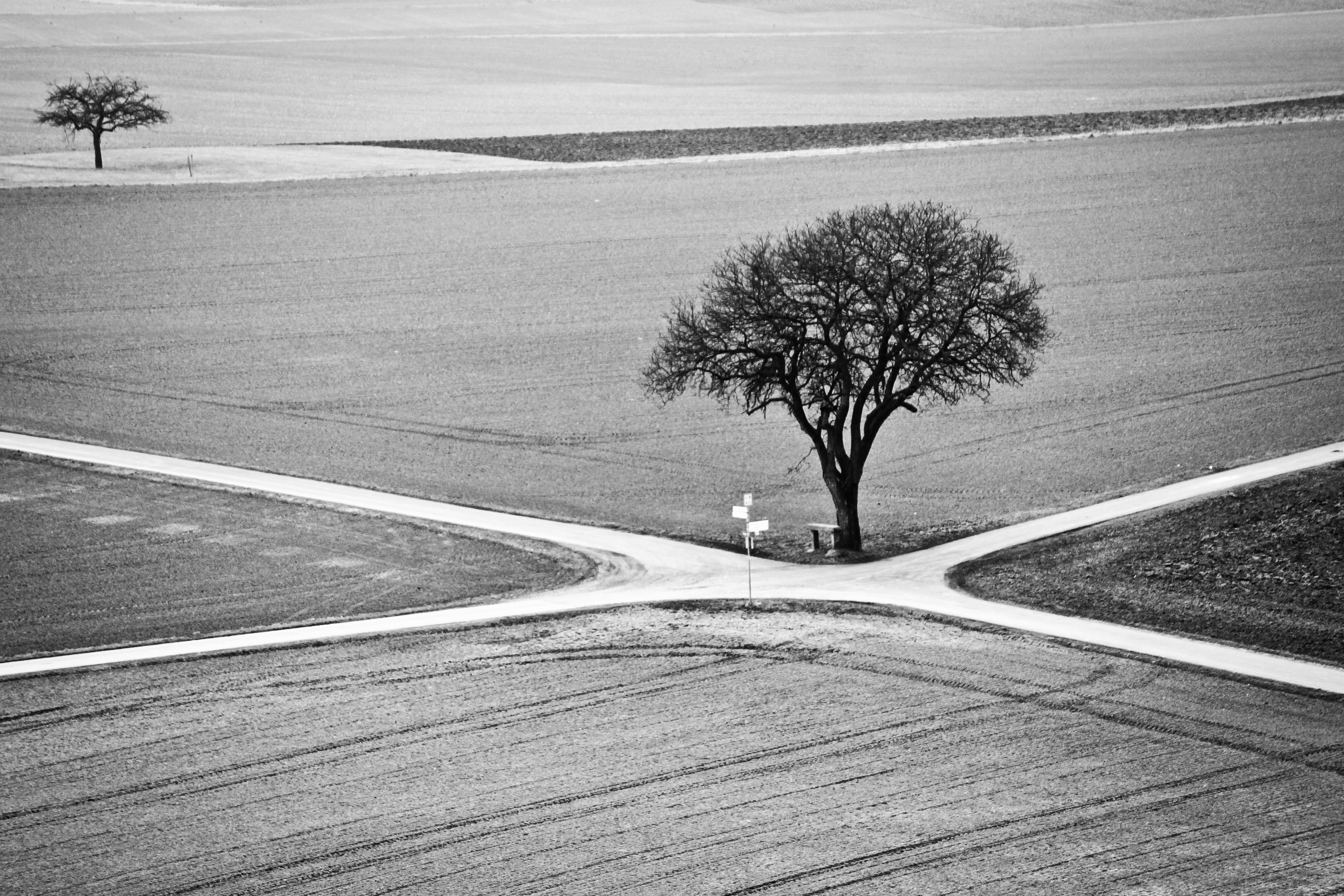 Black and white photo of tree at rural crossroads