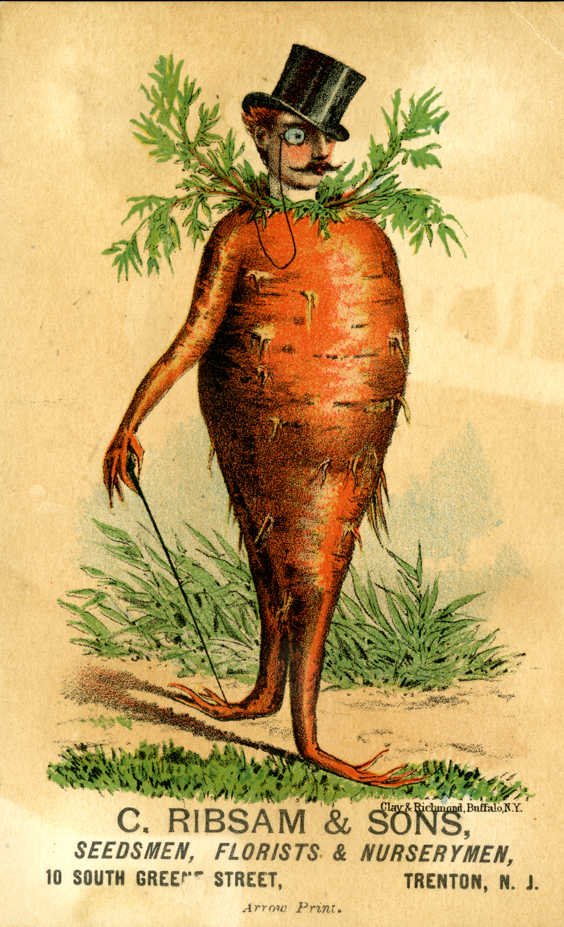 Seed catalog ad showing carrot with top hat and cane