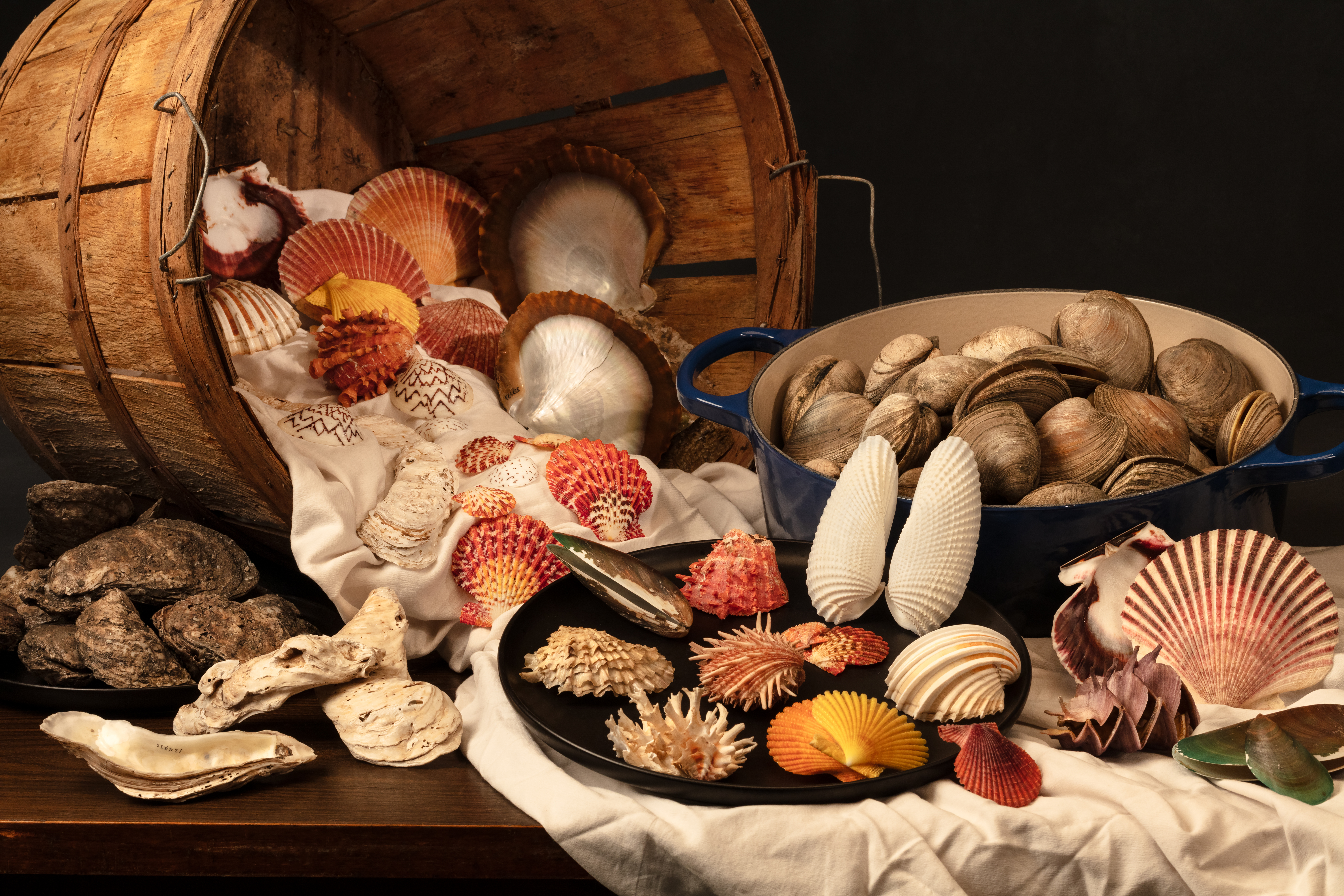 Still life photo of various clams and other bivalves spilling from a bushel basket