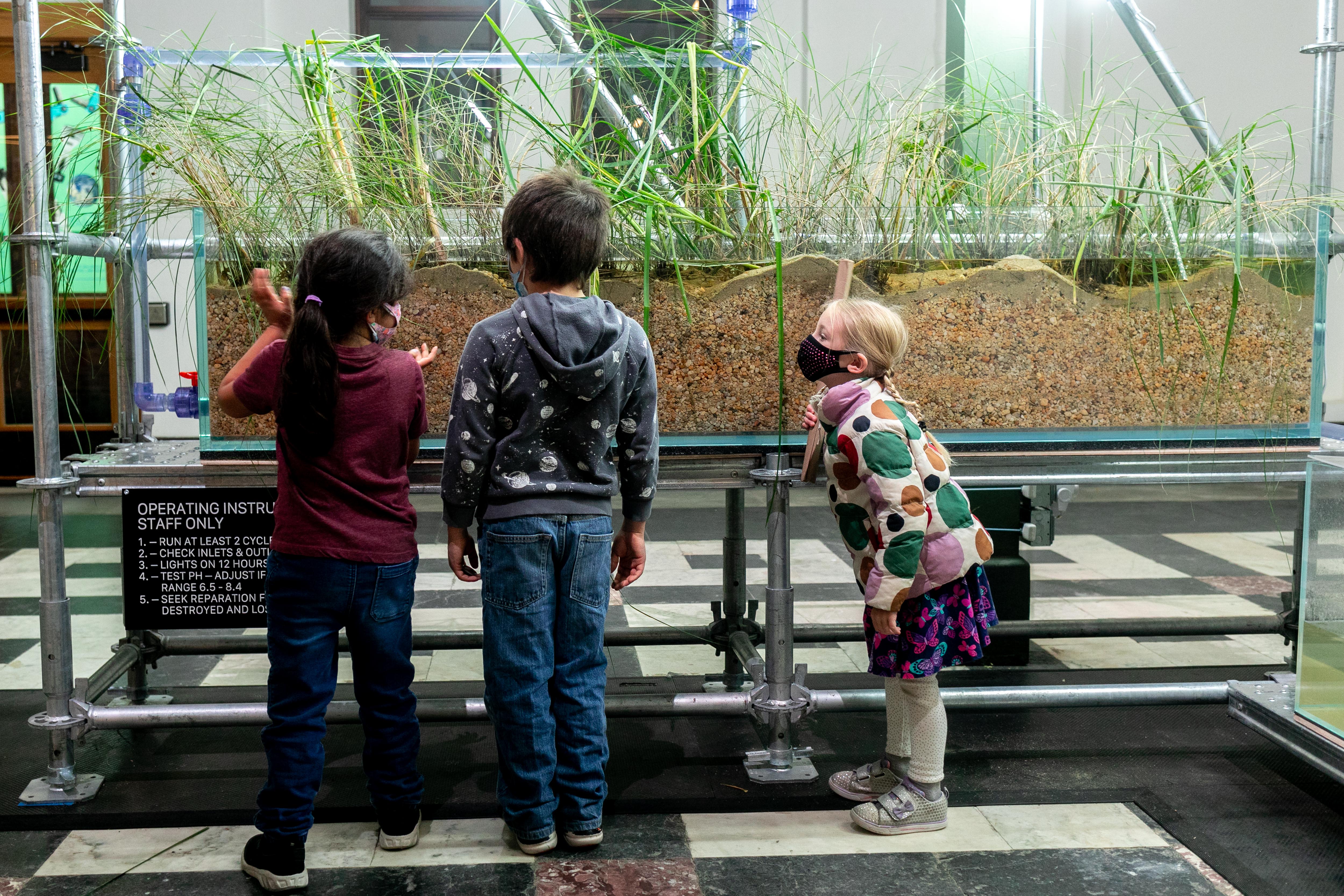Three young children lean against an exhibition space about plants