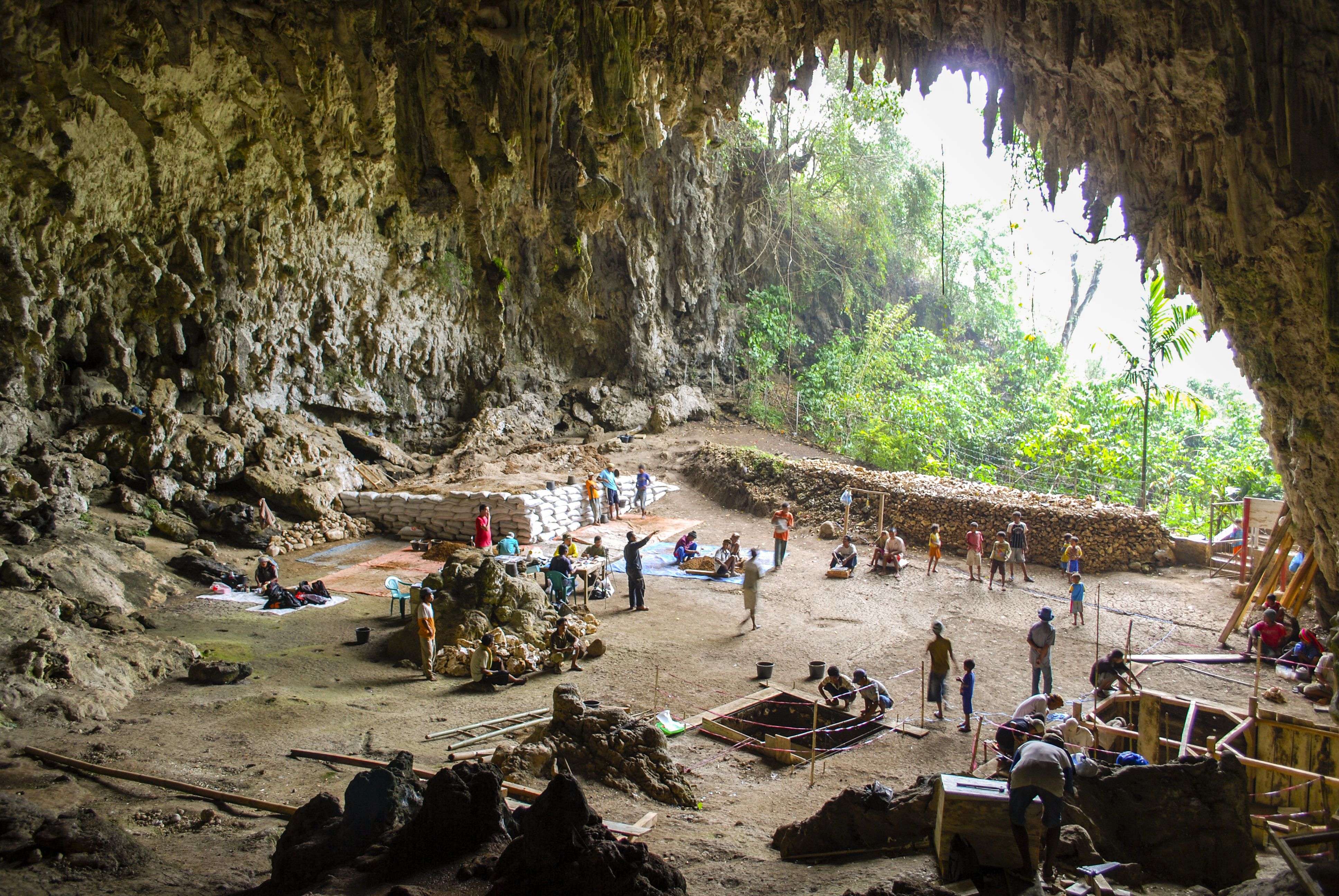 Liang Bua cave