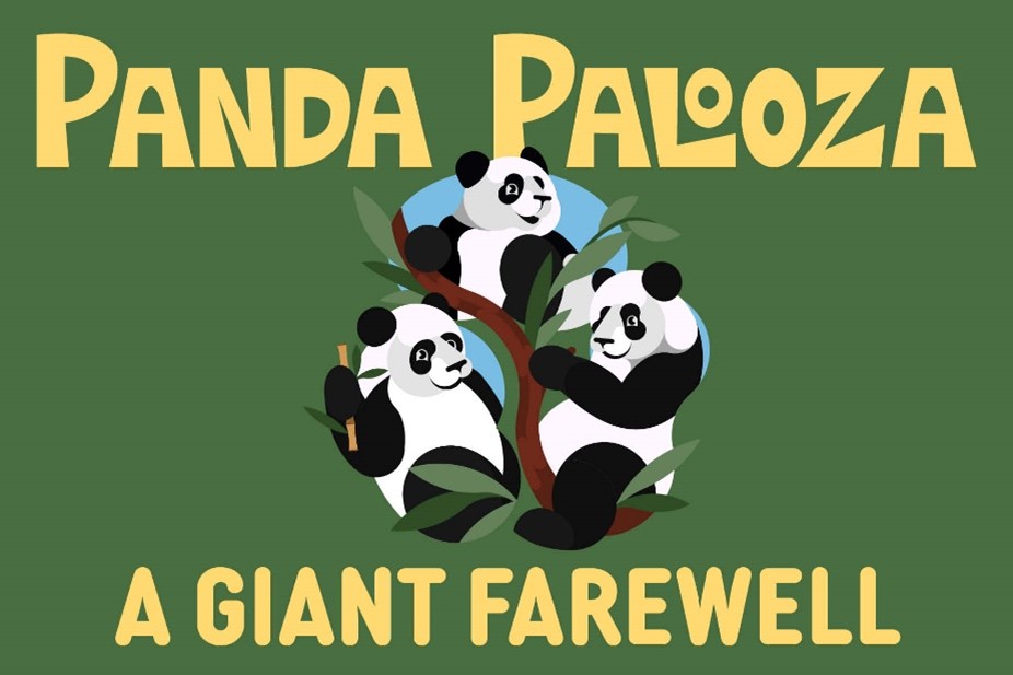 Graphic promoting "Panda Palooza"