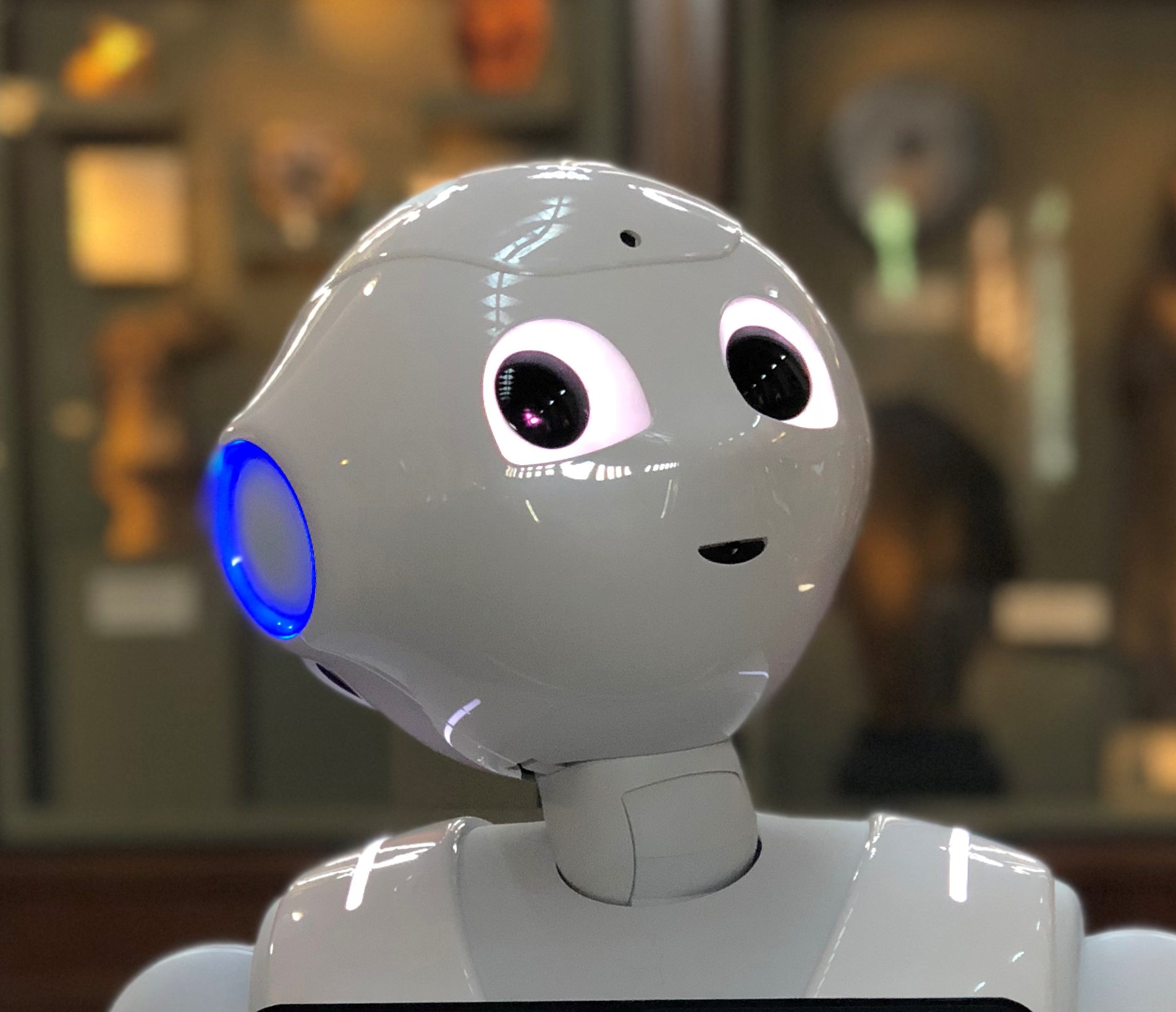 Image result for pepper robot