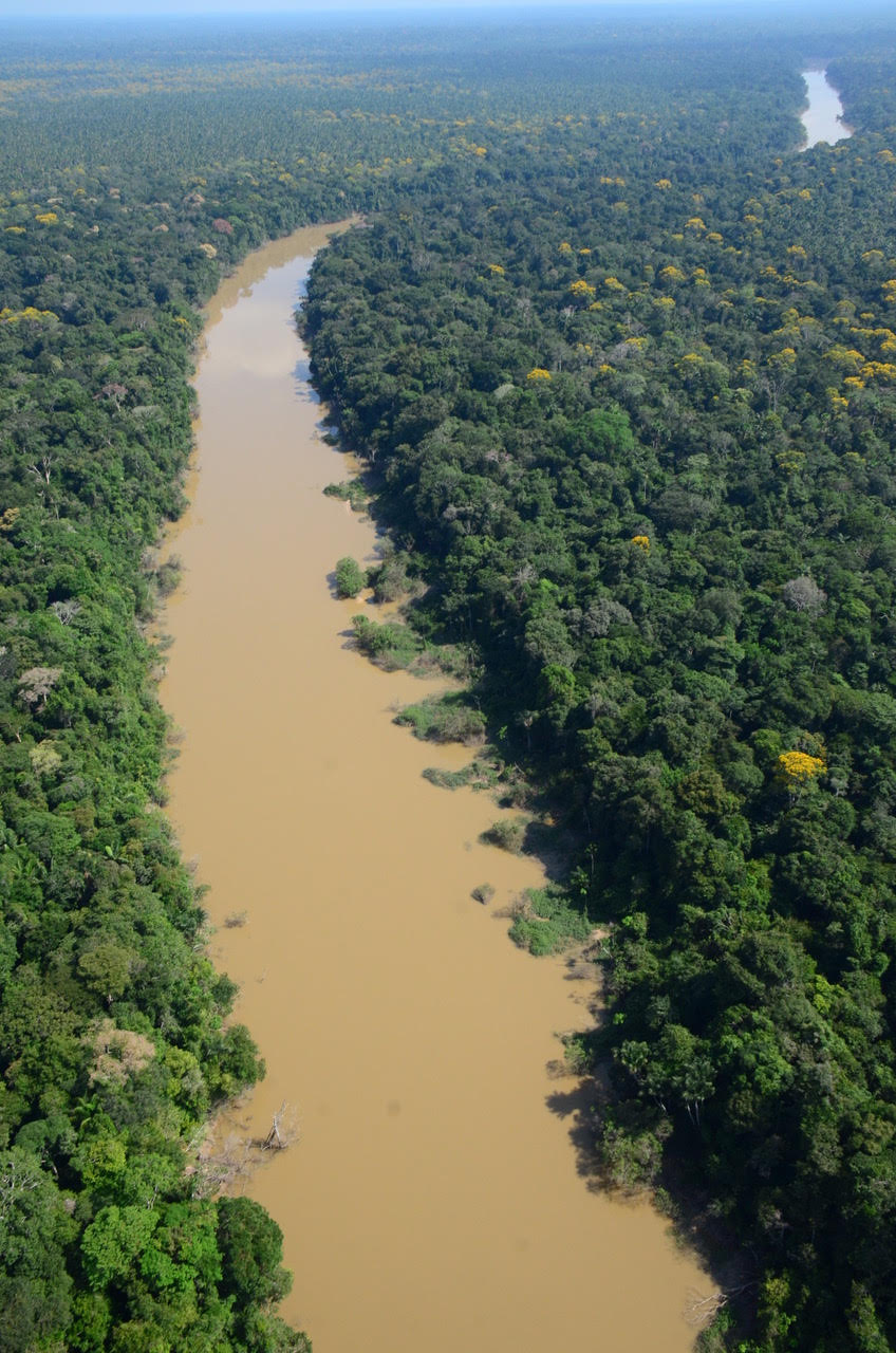 Ariel view of river and surrounding forest
