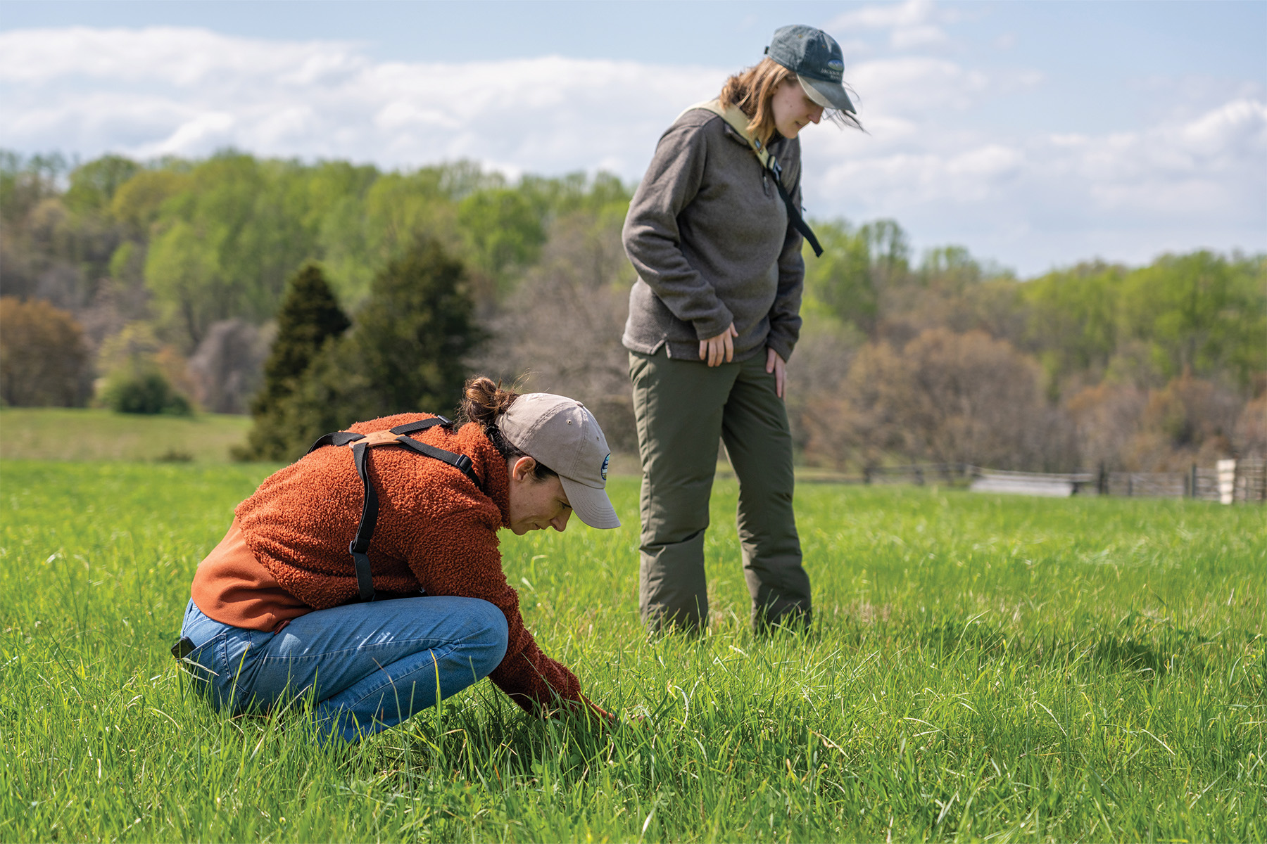 Virginia Working Landscapes’ Amy Johnson and Erin Shibley monitor hayfields where meadowlarks are likely to nest. Tracking nesting birds such as meadowlarks can help determine if essential relationships between native wildlife populations and farmlands are intact—and inform more sustainable land management techniques. PHOTO Hugh Kenny for the Piedmont Environmental Council
