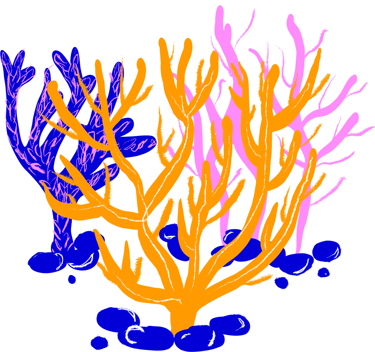 Coral