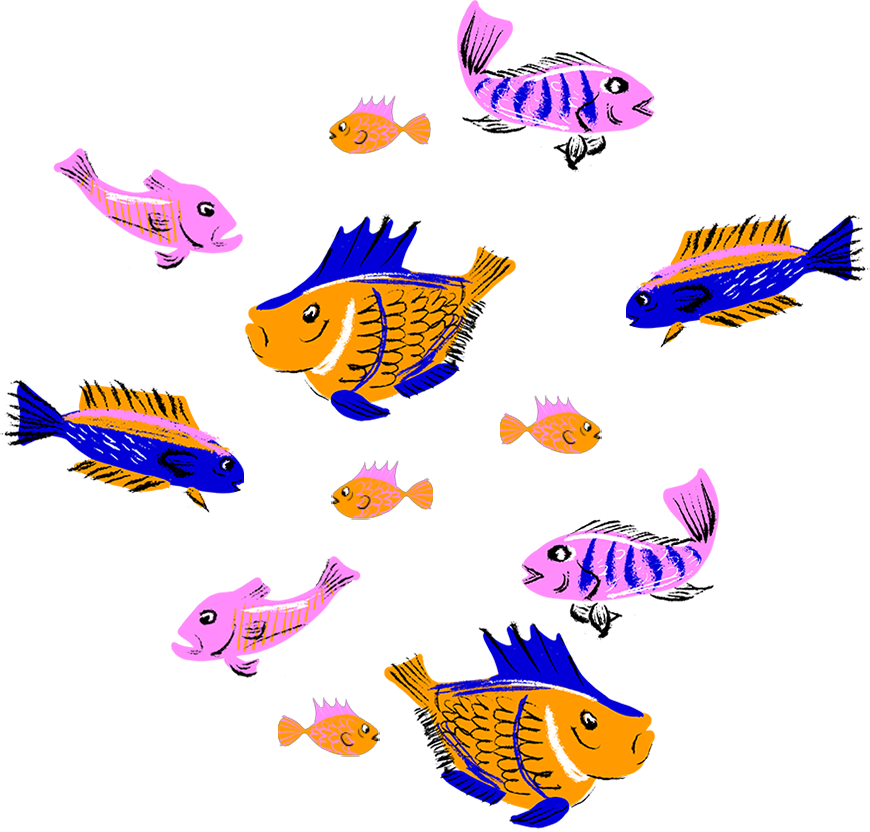 Fish