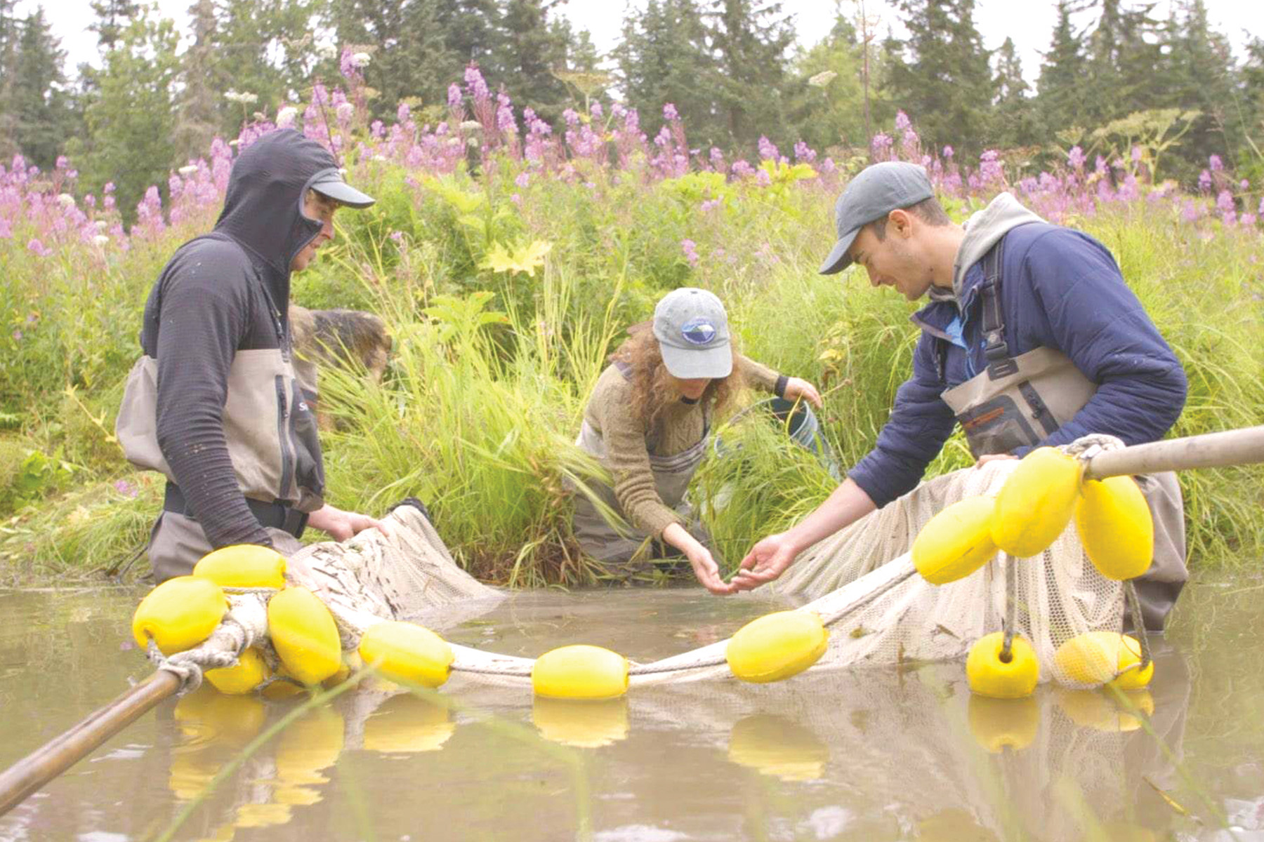 Coowe Walker, Jim Schloemer and Jacob Argueta of the Kachemak Bay National Estuarine Research Reserve sample Alaskan streams and surrounding lands, testing for nutrients that nourish baby salmon. PHOTO Kelsie Moore