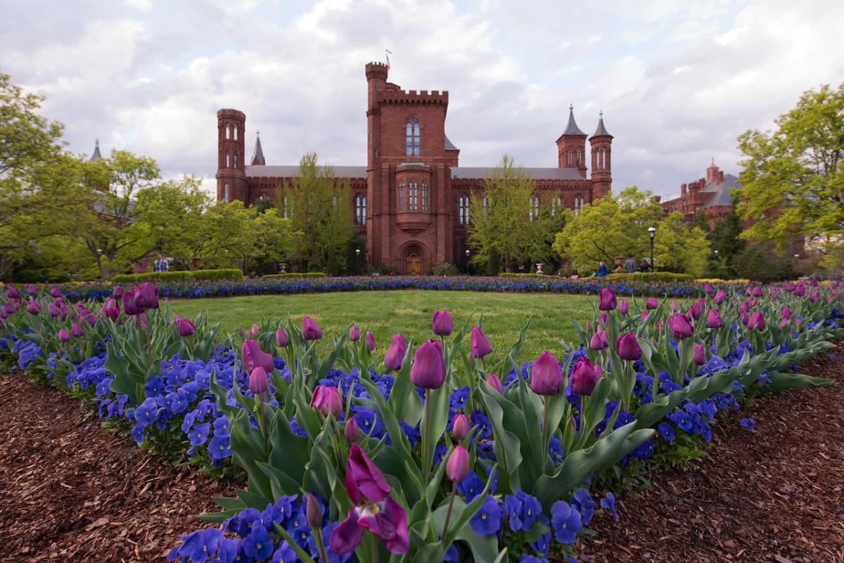 castle_exterior_with_tulips_1_-_asw_4-2016.jpg