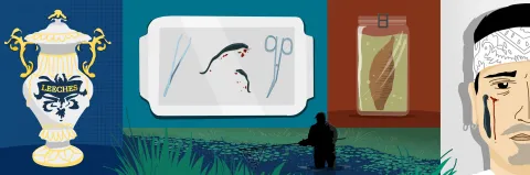 leech collage illustration