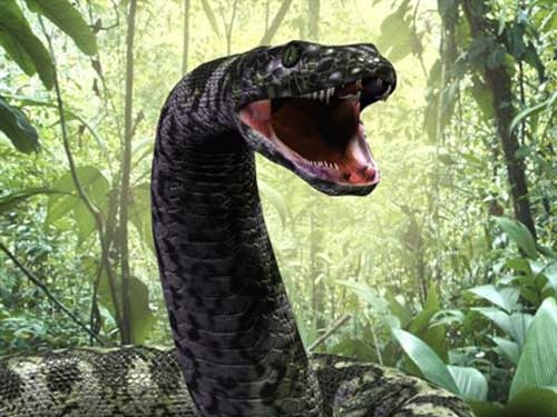 Giant 'Snake Skeleton' On Google Maps Sparks Titanoboa Theories, But