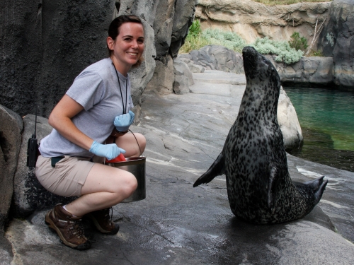 American Trail intern with seal, National Zoo