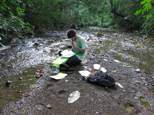 Researchers taking notes on riverbank