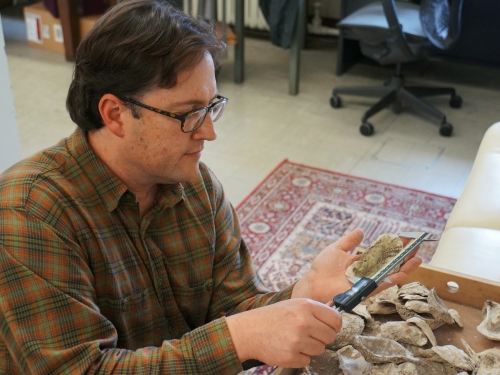 Anthropologist looks at fossil