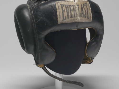 Everlast boxing headgear
