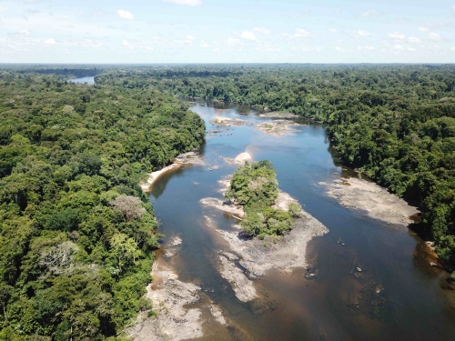 aerial view of trees and river