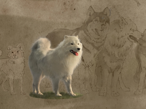 Computer generated rendering of medium-sized dog with white, fluffy coat.