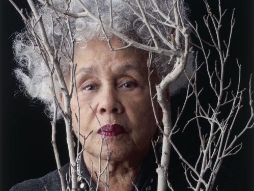 Photographic Portrait of Black woman with gray hair holding a bundle of white twigs 
