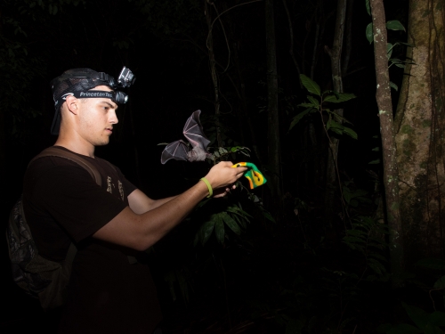 Young man wearing headlight releases a bat
