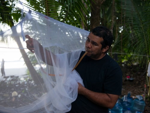 Researcher collecting mosquitoes