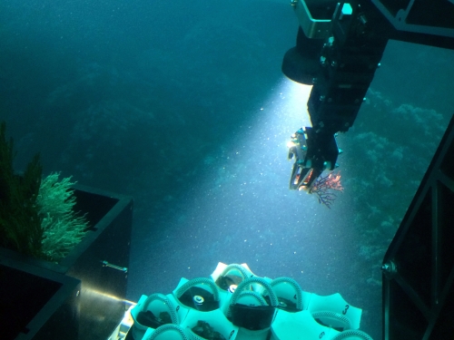 Submersible collecting sample