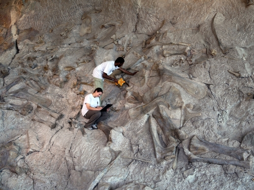 Two mean working on fossil dig