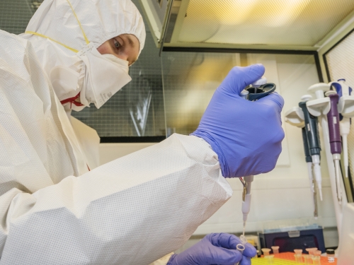 scientist preparing ancient DNA samples for analysis