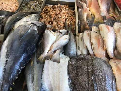 fish in fish market