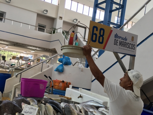 Man hangs sign in fish market