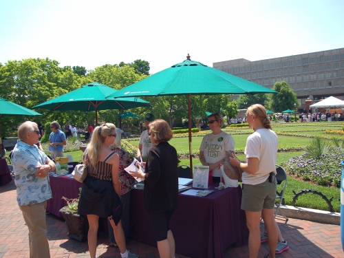 Visitors and volunteers at Garden Fest 2013