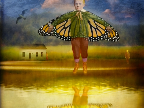 boy butterfly wings art