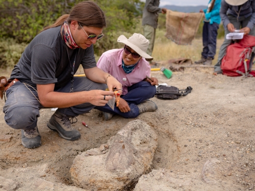 Researchers Excavating Fossils in Colombian Andes