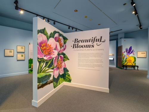 Exhibition hall for Beautiful Blooms exhibition