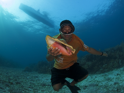 diver with conch
