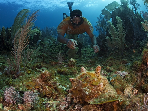 diver exploring sea bed