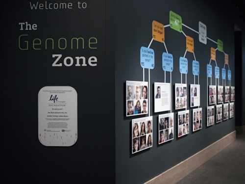 Genome exhibit