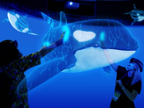 People interacting with augmented reality version of an orca